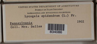 Image Associated With the Occurence
